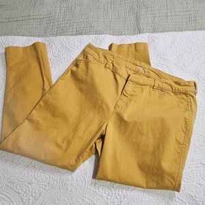 Womens Old Navy Pixie Pants Size 14